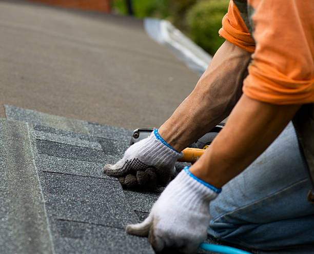 Best Roof Maintenance Services  in Kingston, NY