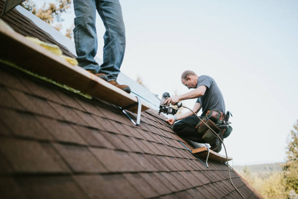 Best Local Roofing Companies  in Kingston, NY